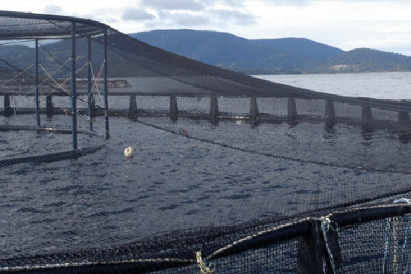 fish-pen-nets fish-pen-nets